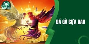 Đá Gà Cựa Dao - Kinh Nghiệm Chọi Gà Thắng Lớn 2025