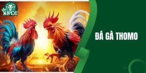 Đá Gà Thomo - Thông Tin Về Luật Chơi Chuyên Nghiệp